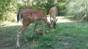 Cascina Bricco